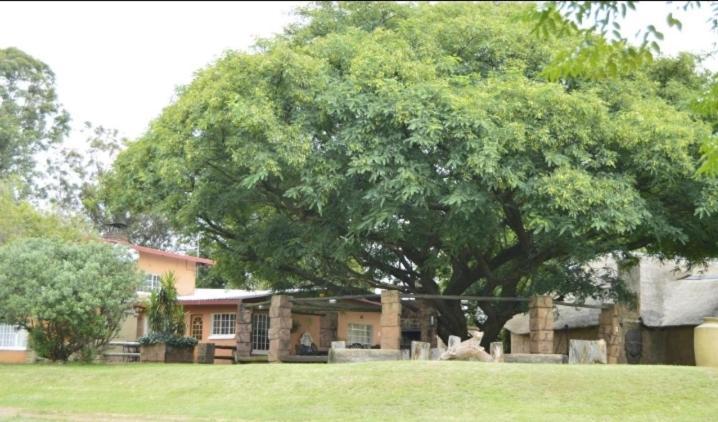 Anna Boeremeisie Guesthouse Benoni Pokój zdjęcie